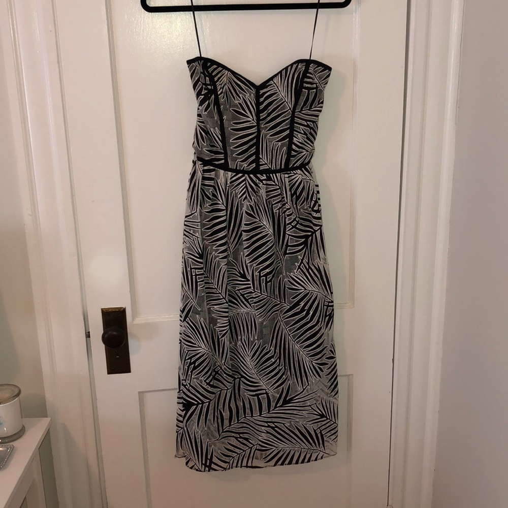 Parker Strapless Dress